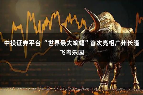 中投证券平台 “世界最大蝙蝠”首次亮相广州长隆飞鸟乐园