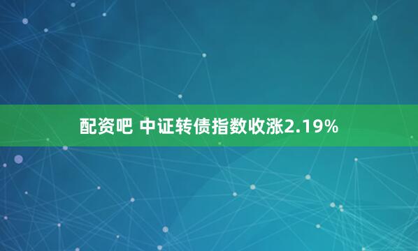 配资吧 中证转债指数收涨2.19%